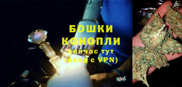 Альфа ПВП Аркадак