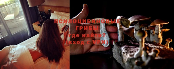 дживик Балахна