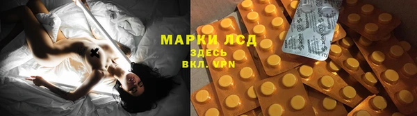 Альфа ПВП Аркадак