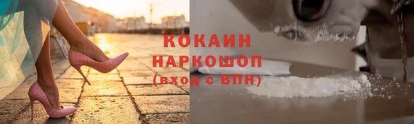 крисы Армянск