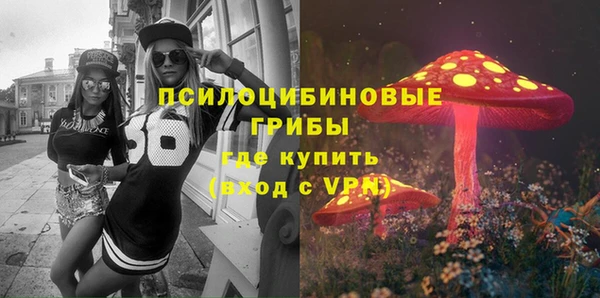 Альфа ПВП Аркадак