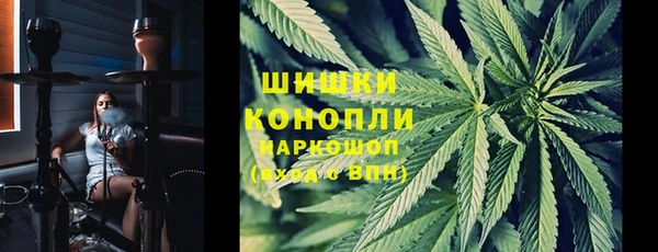 Альфа ПВП Аркадак