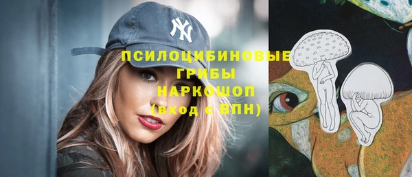 МДПВ Арсеньев